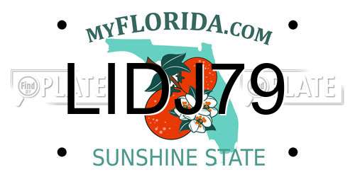 LIDJ79 Florida License Plate