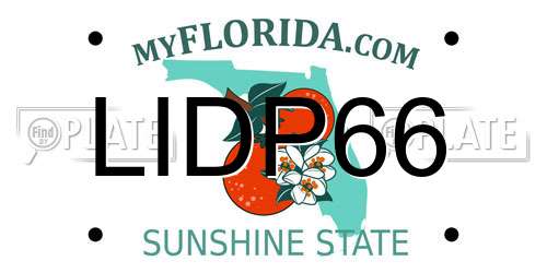 LIDP66 Florida License Plate