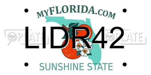 LIDR42 Florida License Plate