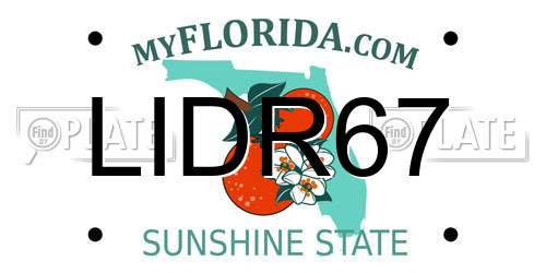 LIDR67 Florida License Plate
