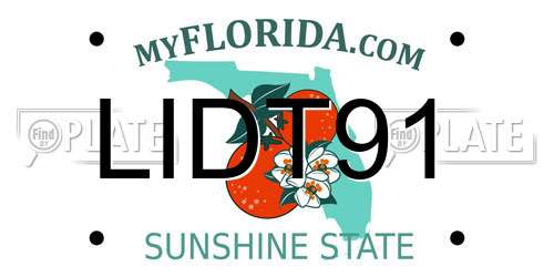 LIDT91 Florida License Plate