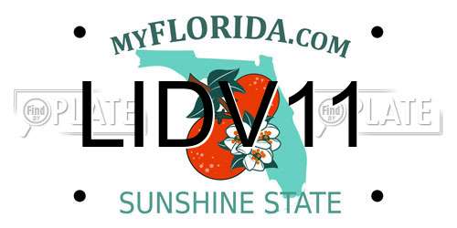 LIDV11 Florida License Plate