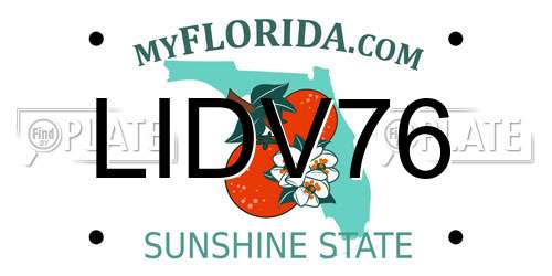 LIDV76 Florida License Plate