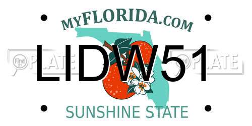 LIDW51 Florida License Plate