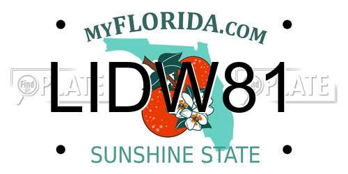 LIDW81 Florida License Plate