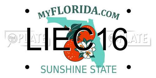 LIEC16 Florida License Plate
