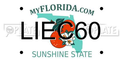LIEC60 Florida License Plate