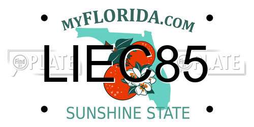 LIEC85 Florida License Plate