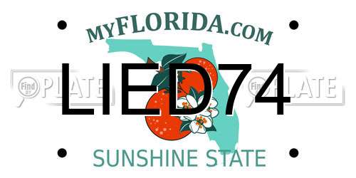 LIED74 Florida License Plate