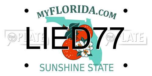 LIED77 Florida License Plate