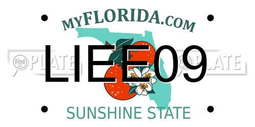 LIEE09 Florida License Plate