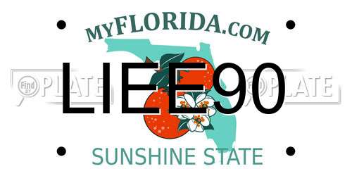 LIEE90 Florida License Plate