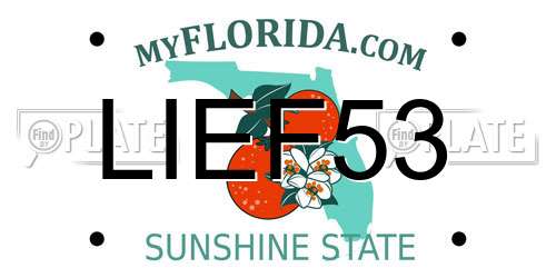 LIEF53 Florida License Plate