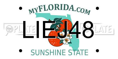 LIEJ48 Florida License Plate