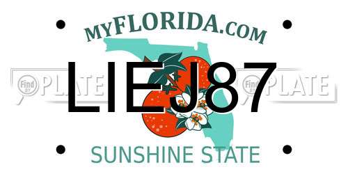 LIEJ87 Florida License Plate