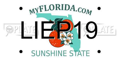 LIEP19 Florida License Plate