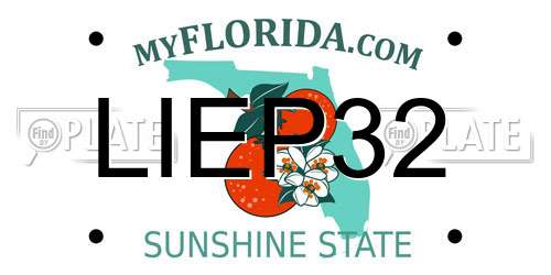 LIEP32 Florida License Plate