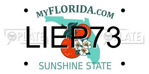 LIEP73 Florida License Plate
