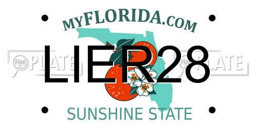LIER28 Florida License Plate