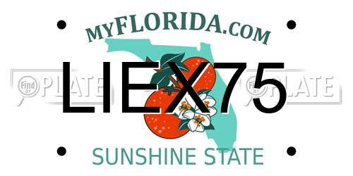LIEX75 Florida License Plate