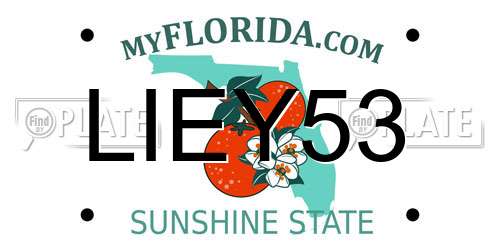 LIEY53 Florida License Plate