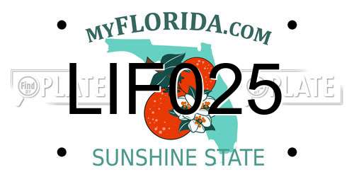 LIF025 Florida License Plate