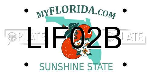 LIF02B Florida License Plate