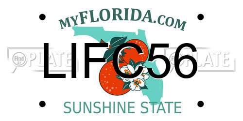 LIFC56 Florida License Plate