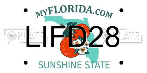 LIFD28 Florida License Plate