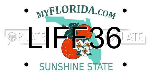 LIFF36 Florida License Plate