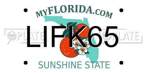 LIFK65 Florida License Plate