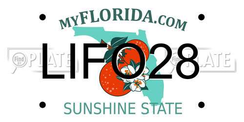 LIFO28 Florida License Plate
