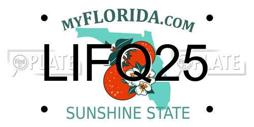 LIFQ25 Florida License Plate