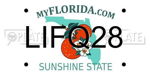 LIFQ28 Florida License Plate