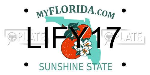 LIFY17 Florida License Plate