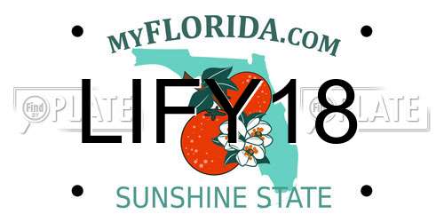 LIFY18 Florida License Plate