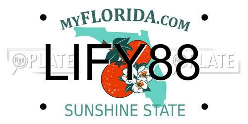 LIFY88 Florida License Plate