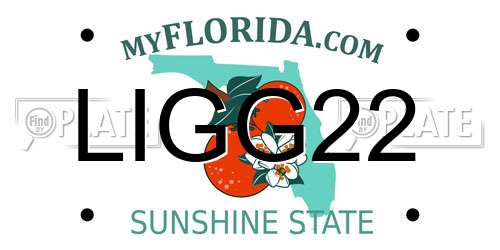 LIGG22 Florida License Plate