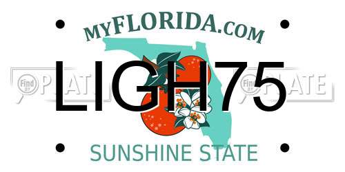 LIGH75 Florida License Plate