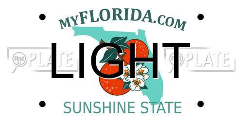 LIGHT Florida License Plate