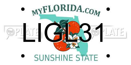 LIGL31 Florida License Plate