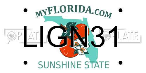 LIGN31 Florida License Plate