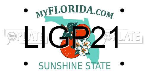 LIGP21 Florida License Plate