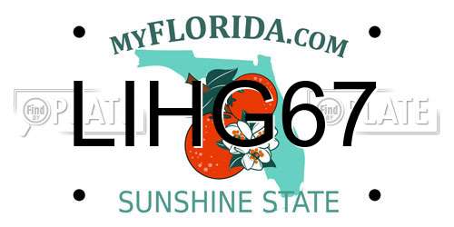 LIHG67 Florida License Plate