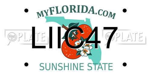 LIIC47 Florida License Plate