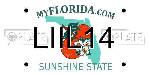 LIIL14 Florida License Plate