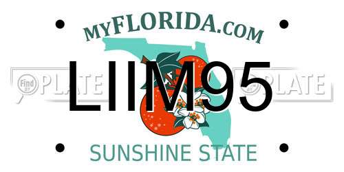 LIIM95 Florida License Plate