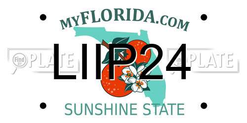 LIIP24 Florida License Plate