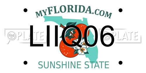 LIIQ06 Florida License Plate
