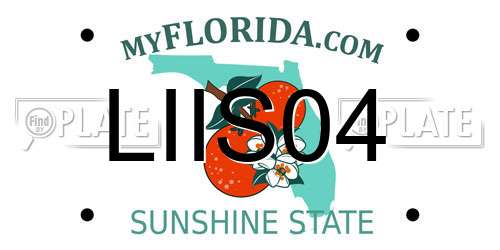 LIIS04 Florida License Plate